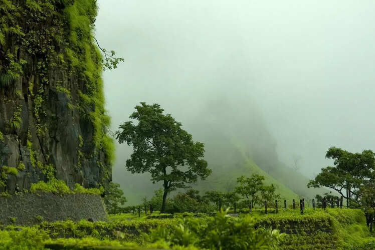 Rajmachi Fort trek, Maharashtra