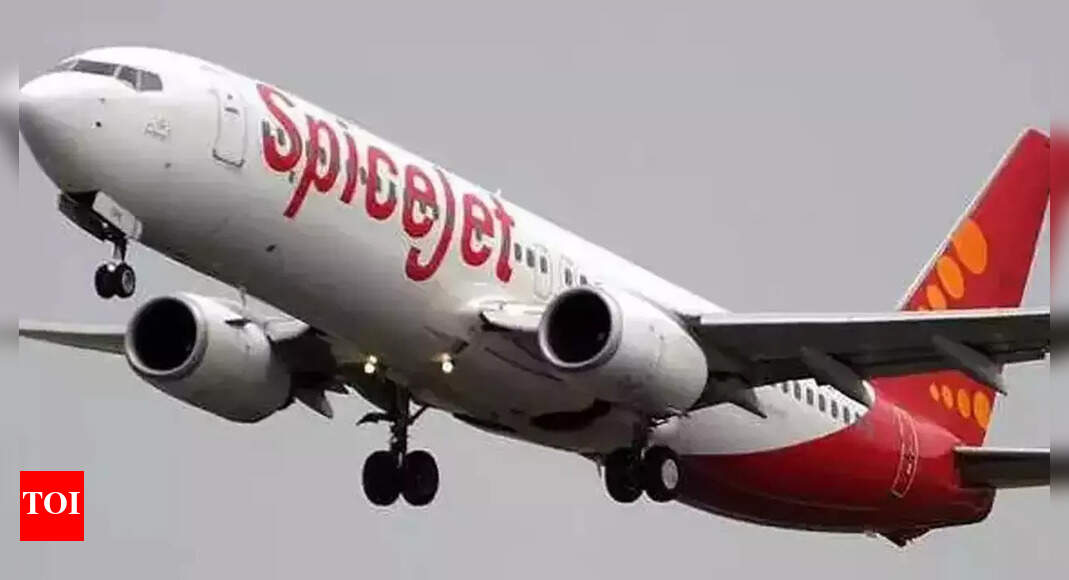 Spicejet 10hr Delay Hassles Flyers Of Patnabound Spicejet Flight