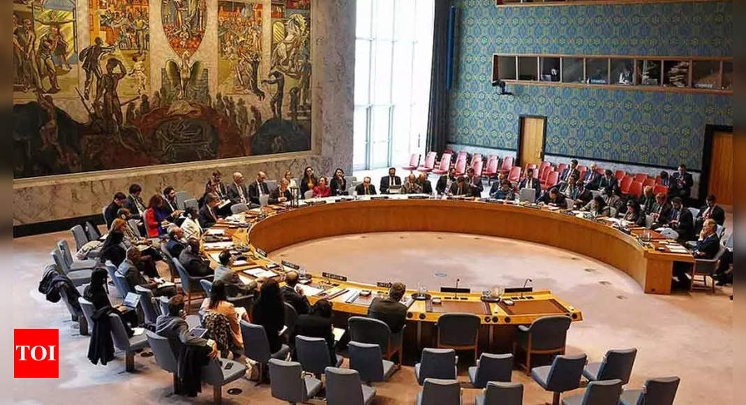 unsc: Hak veto anggota tetap DK PBB: Posisi India |  Berita India