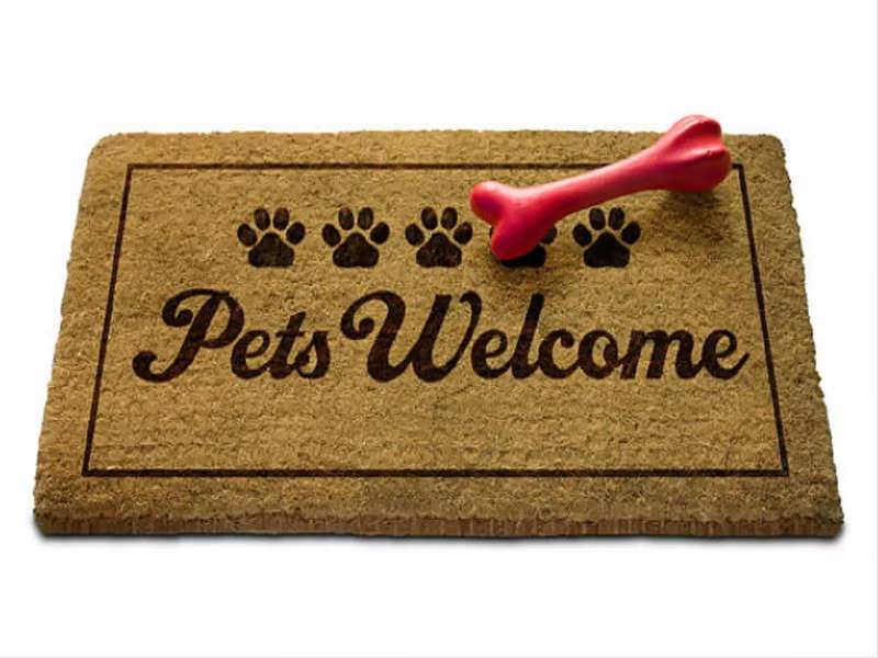 National Pet Day: Five things to keep in mind while looking for a pet-friendly accommodation