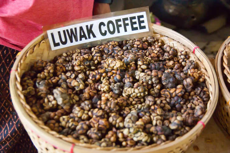 Get a taste of world’s most expensive coffee