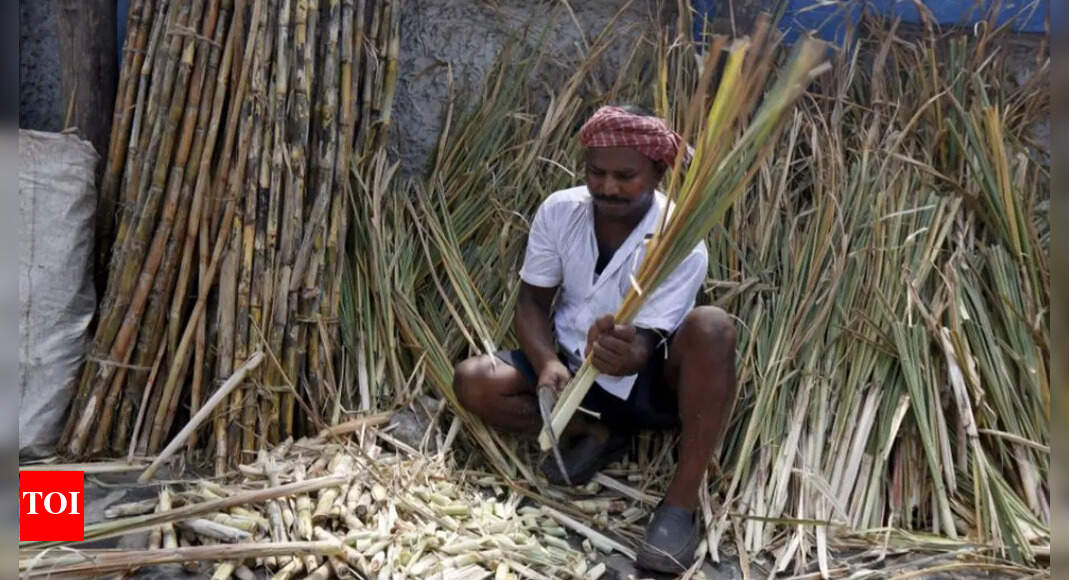 India's sugar output seen 13% up at 35 million tons, exports at 9.5 ...