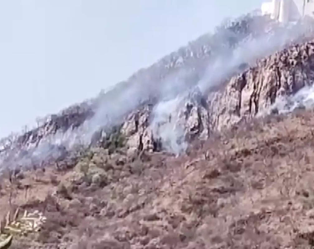 
Rajasthan: IAF deploys chopper to douse wildfire in Sajjangarh Wildlife Sanctuary
