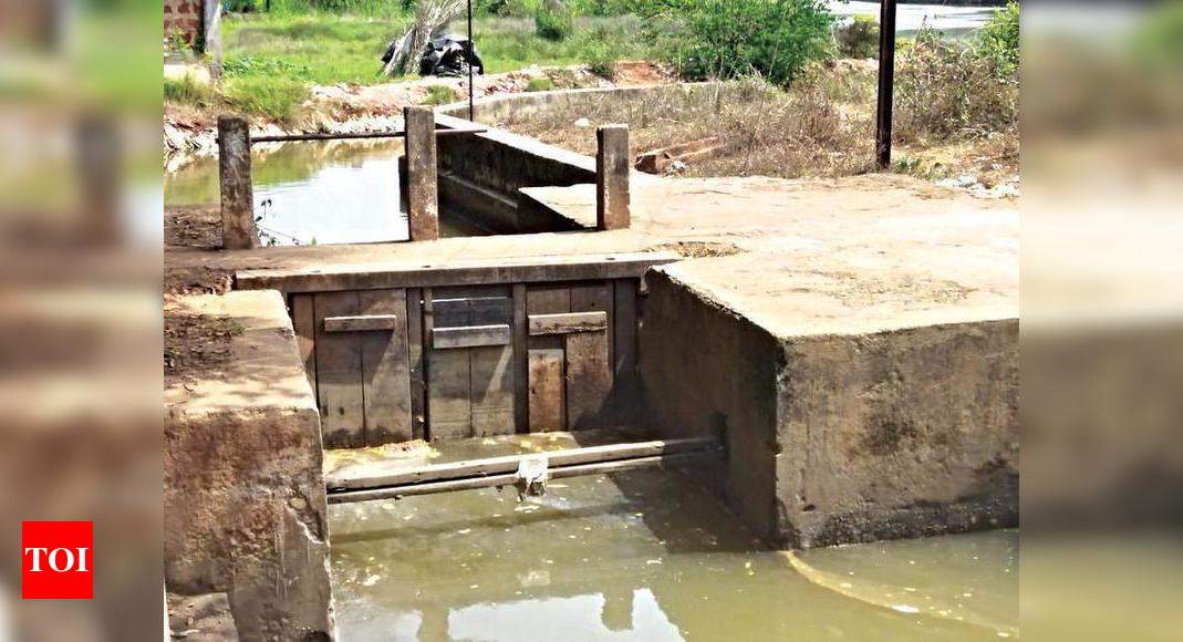 Breach in sluice gate, Curca khazan land gets flooded | Goa News ...