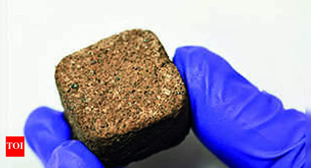 Mars: IISc, Isro experts develop ‘space bricks’ for Mars - Times of India
