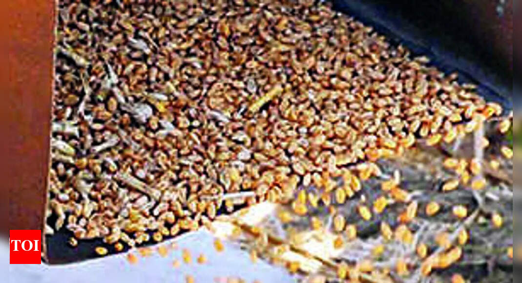 328 million tonnes: Record foodgrain target set by government for 2022 ...