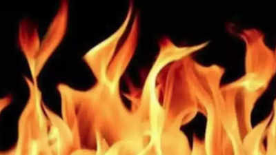 Haryana: Two injured after fire breaks out at cracker factory in Nuh