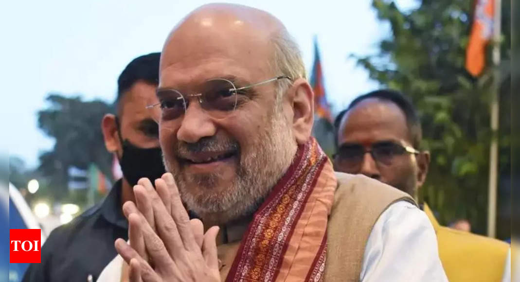 Bjp: Delhi BJP leaders meet Amit Shah | India News - Times of India