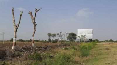 Farmer fined as trees choppped on NH6 for billboard