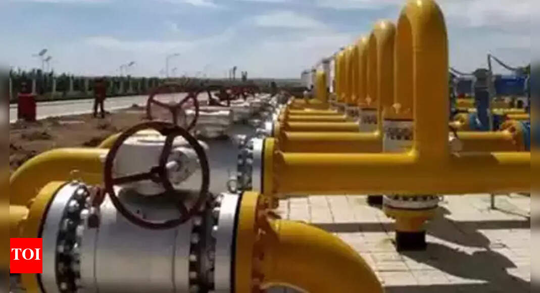 West Bengal News Kolkata pockets may get piped cooking gas by Mayend The Times of India