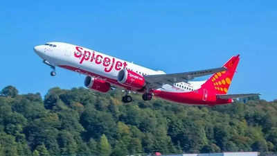 SpiceJet aircraft grounded after flyer flags sorry state of cabin interiors