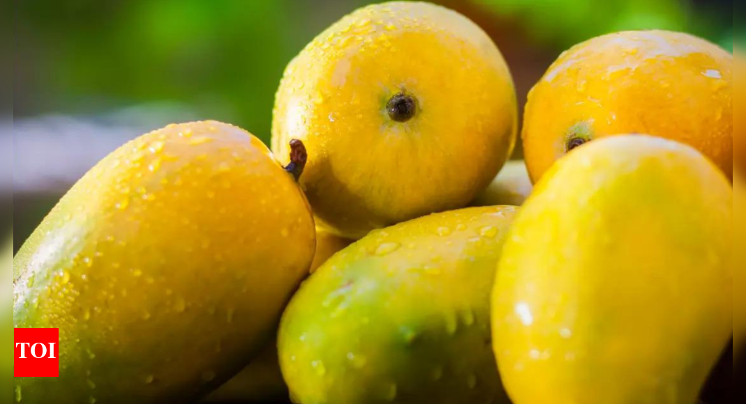 Where have all the mangoes gone? Coimbatore News Times of India