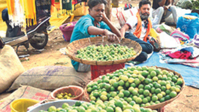 Oraon takes dig at Centre over fuel, lemon price hike