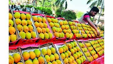 Unseasonal rain, high temperature affect mango yield in North K’taka