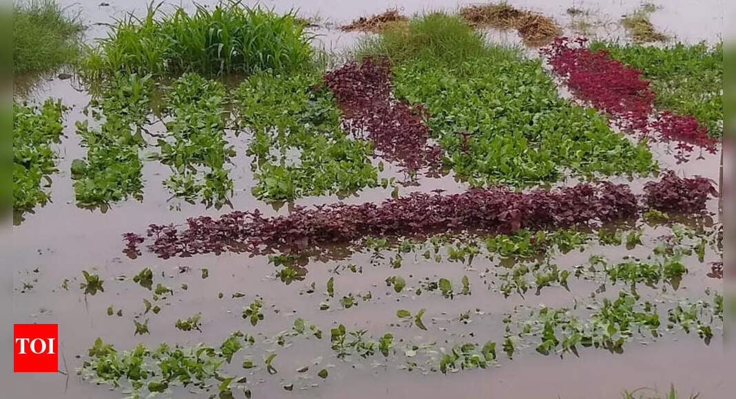 Parts of Goa receive heavy rainfall | Goa News - Times of India