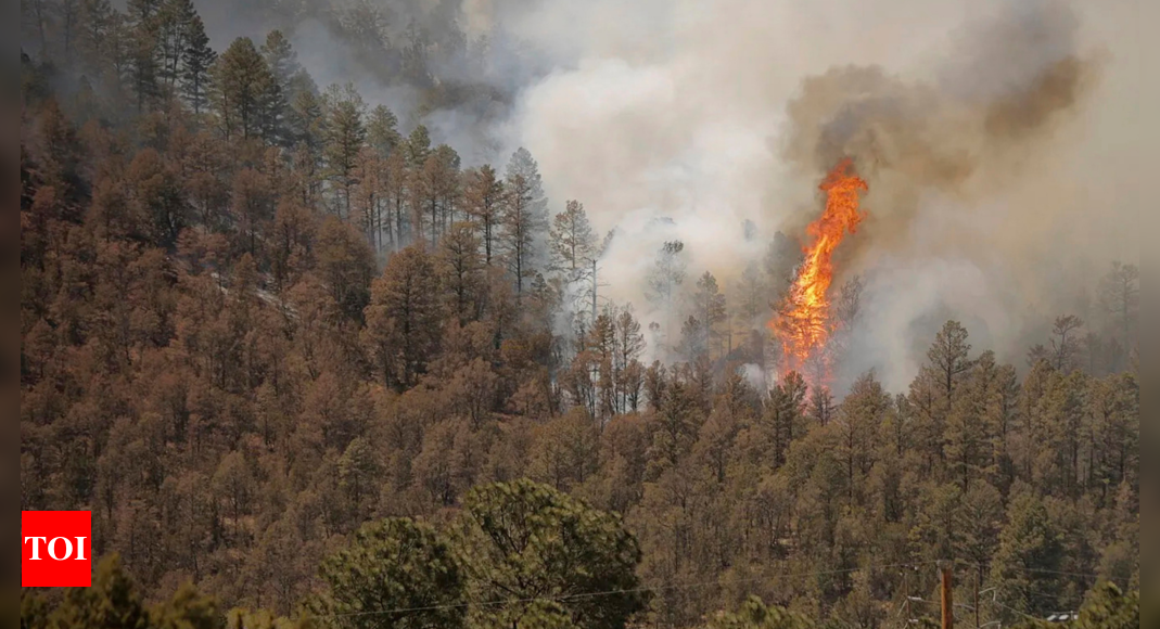 Emergency declaration for multiple wildfires in New Mexico