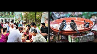 Pune: Citizens pitch in with water-filled clay trays to help birds quench thirst