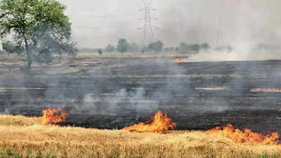 Air pollution rises as stubble burning continues in Indore, Ujjain divisions