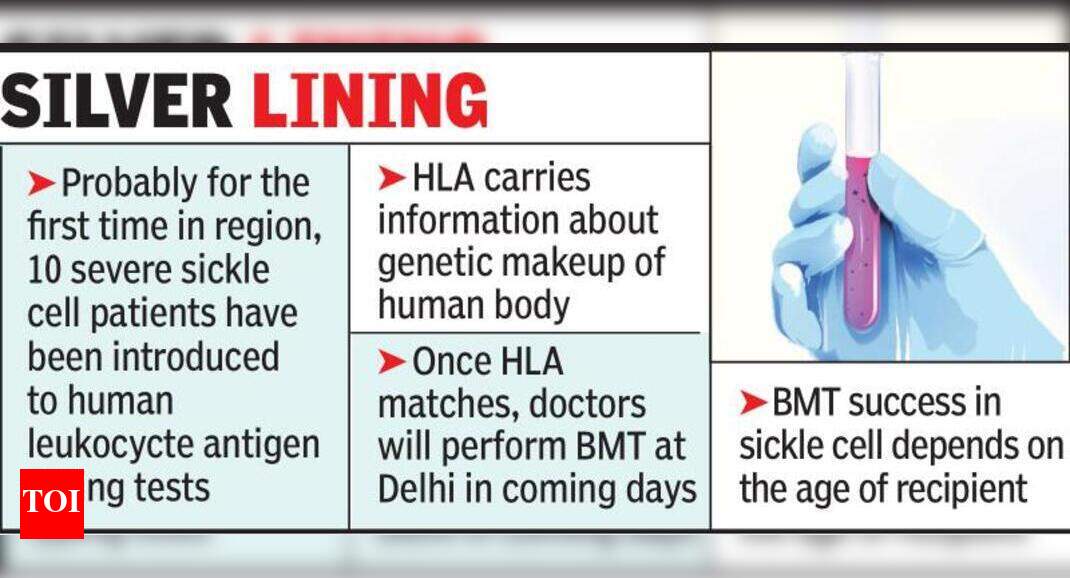 Bone marrow transplant holds hope for kids with severe sickle cell