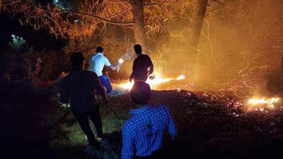 Uttarakhand: Uttarakhand: More Fires In Reserve Forests, Less In Van ...