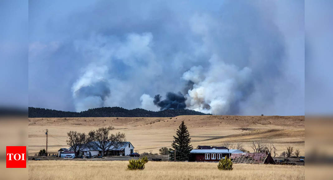 US: Wildfires tear across several states, driven by high winds