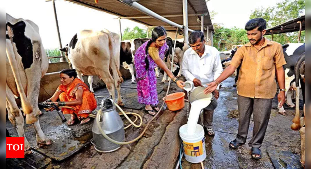 why-world-s-biggest-milk-producer-is-thinking-imports-india-news