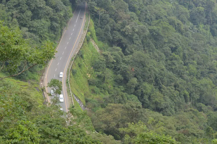 Kochi to Wayanad