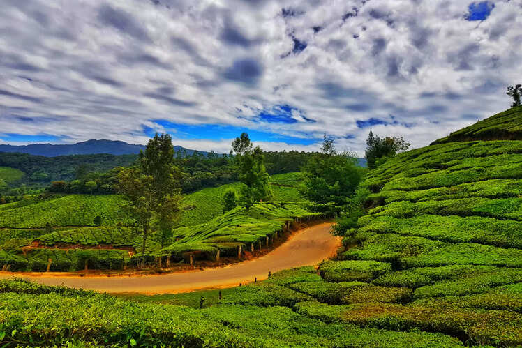 Chennai to Munnar