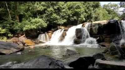 Development of Mookanamane Falls hits forest dept hurdle