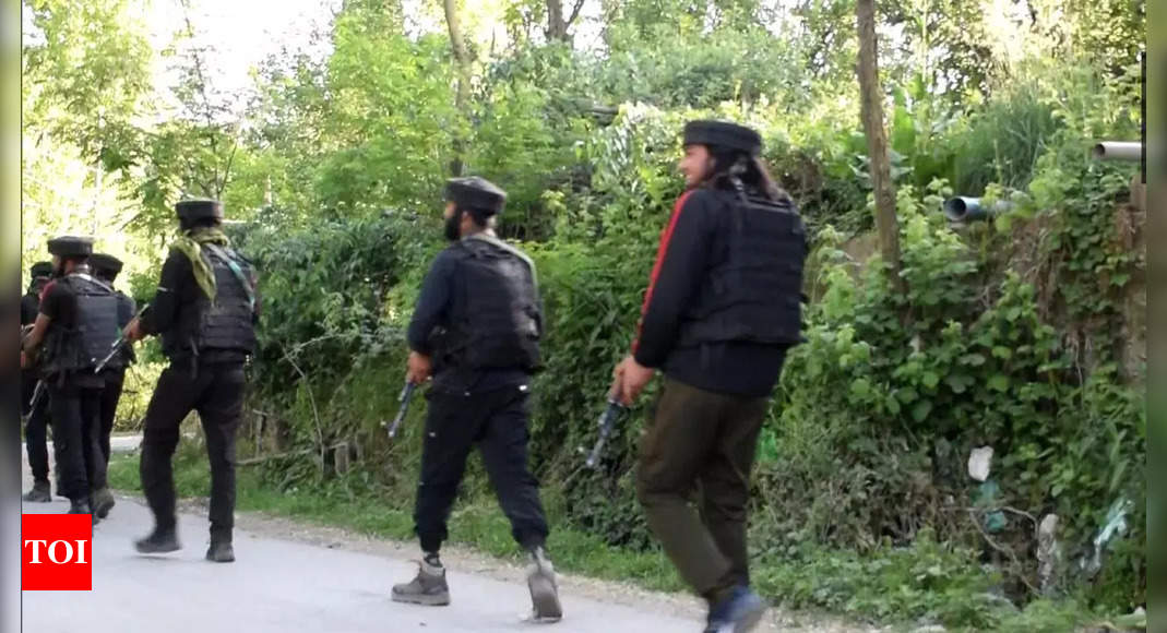 Encounter Breaks Out Between Terrorists And Security Forces In Jammu ...