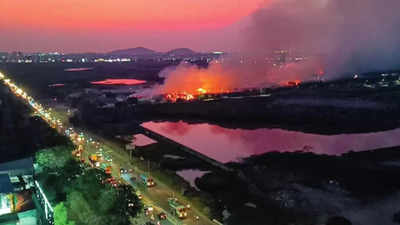 Chennai: Perungudi landfill catches fire, thick fumes poison air