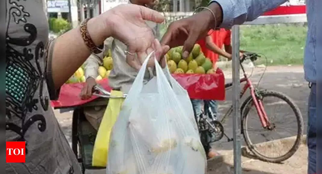 Substitute for plastic bags needed: Salt Lake residents