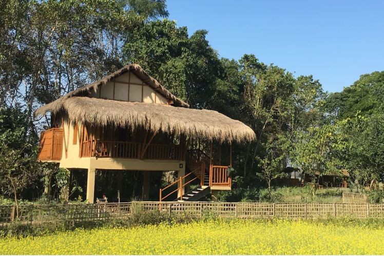 Diphlu River Lodge, Kaziranga