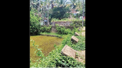 Thiruvananthapuram: Pond sans protection wall gives nightmare to residents