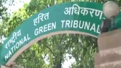 Chennai: NGT allows Auroville to finish Crown Road project with a rider