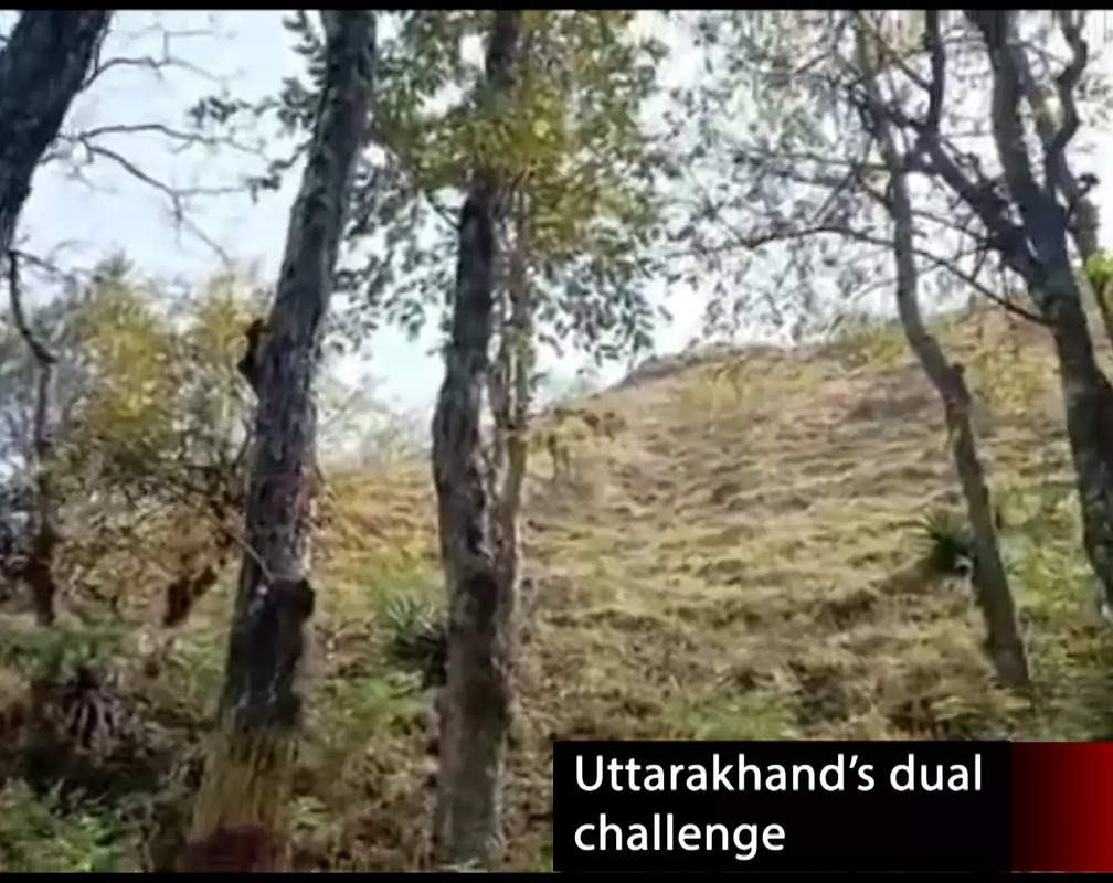 
Meet the duo that transformed a ghost village in Uttarakhand
