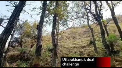Meet the duo that transformed a ghost village in Uttarakhand