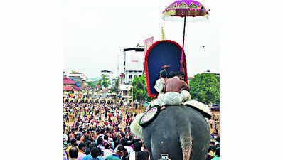 District panels urged to discourage parading of more elephants at fests