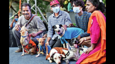 When Kala Kubendran walked the ramp with her Indies at The Great Indian Dog Show that was held recently, cheers rent the air. For, all the five pooches were rescue animals who also have some sort of disability.