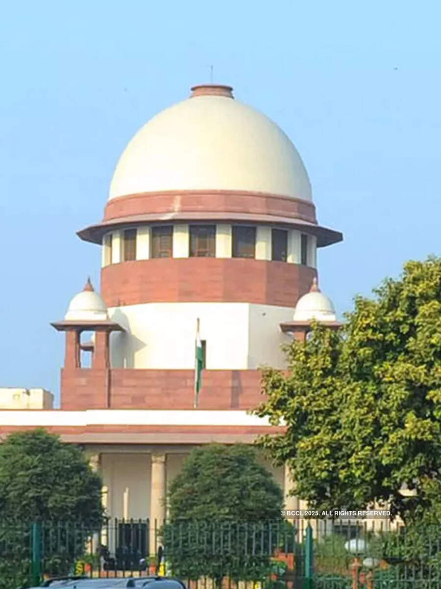 Why Do Court Cases Hang For So Long What Delays Delivery Of Justice 