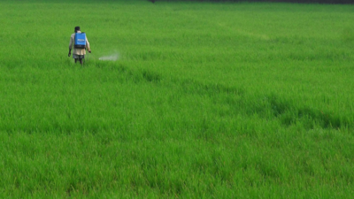 Andhra Pradesh reports drastic decline in pesticide consumption