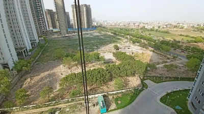 Noida: 3,000 flats in this sector, but no park to visit