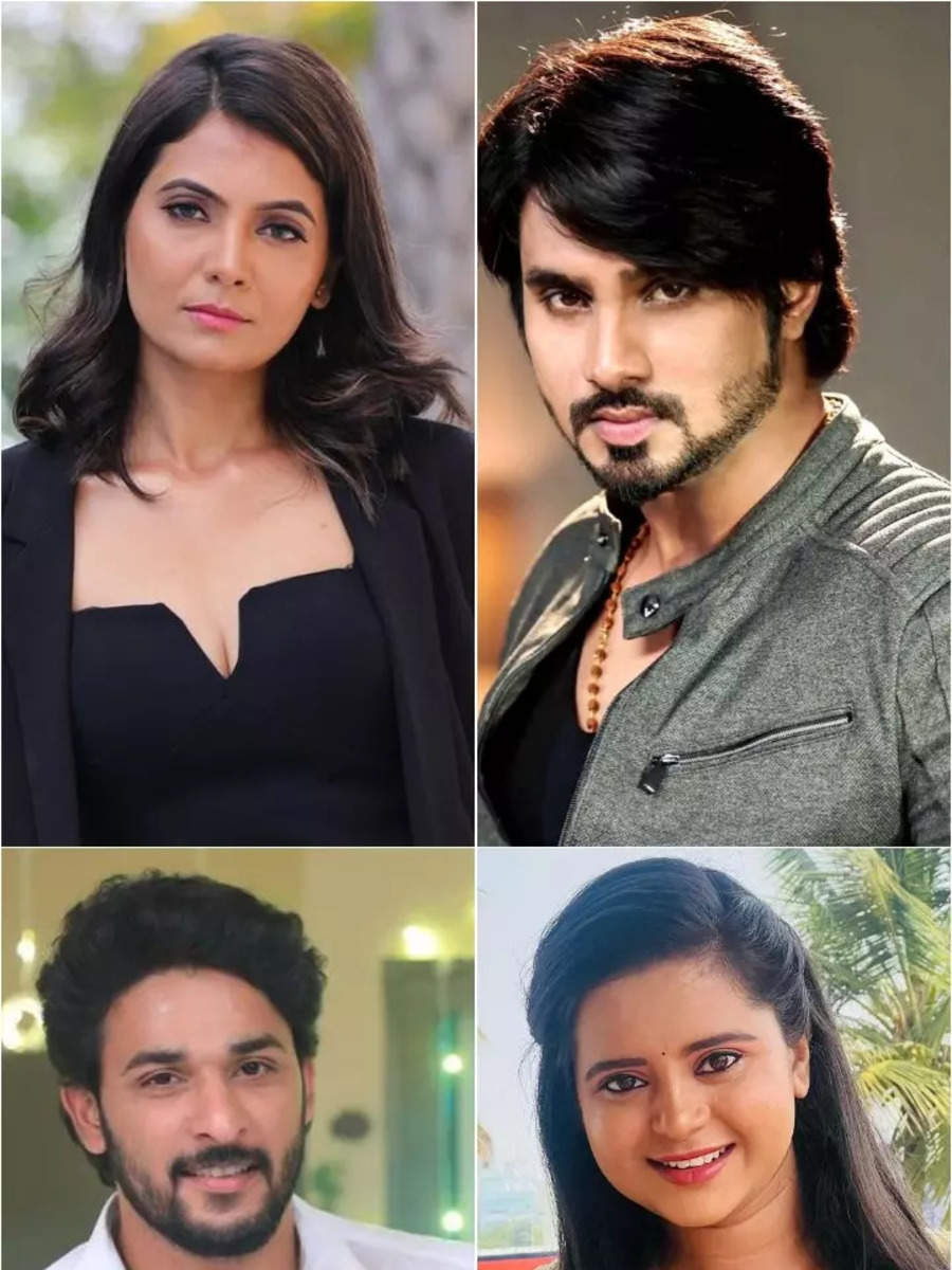 Meet The Highly Educated Tv Celebs 