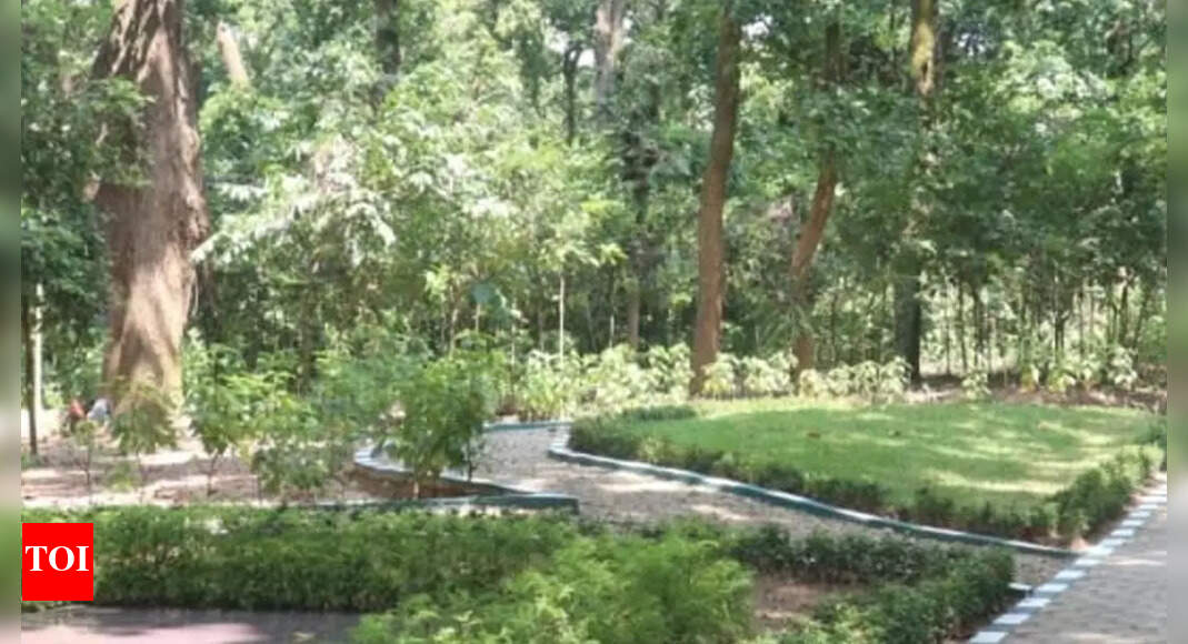 Salisbury Park Naming Of Salisbury Park Garden Set For Legal Review