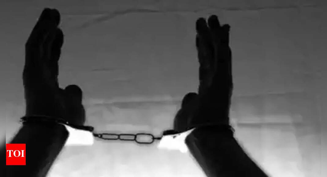 Engineering Student, Girlfriend Snatch Gold Chain, Arrested ...