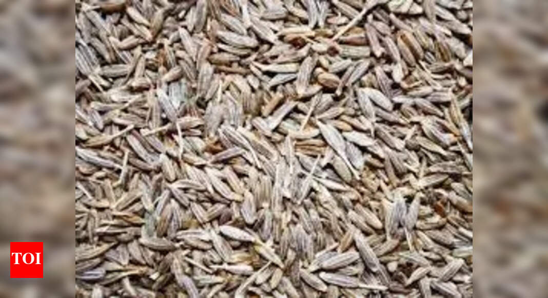 Cumin prices to touch 5year high this year as India's production dips