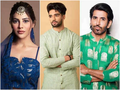 Exclusive - Nikki Tamboli, Zeeshan Khan to Vishal Kotian and others extend their Eid wishes