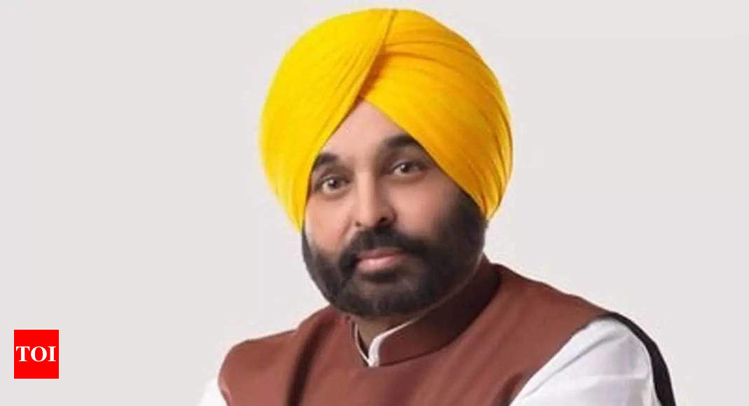 Seeds of hatred don’t bloom in Punjab: CM Bhagwant Mann | India News – Times of India