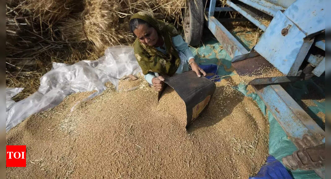 Indian Railways cuts number of rakes meant for wheat exports | India ...
