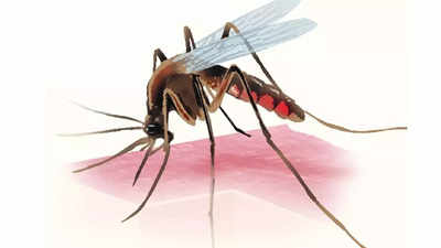 Goa eyes malaria-free status by end of 2023